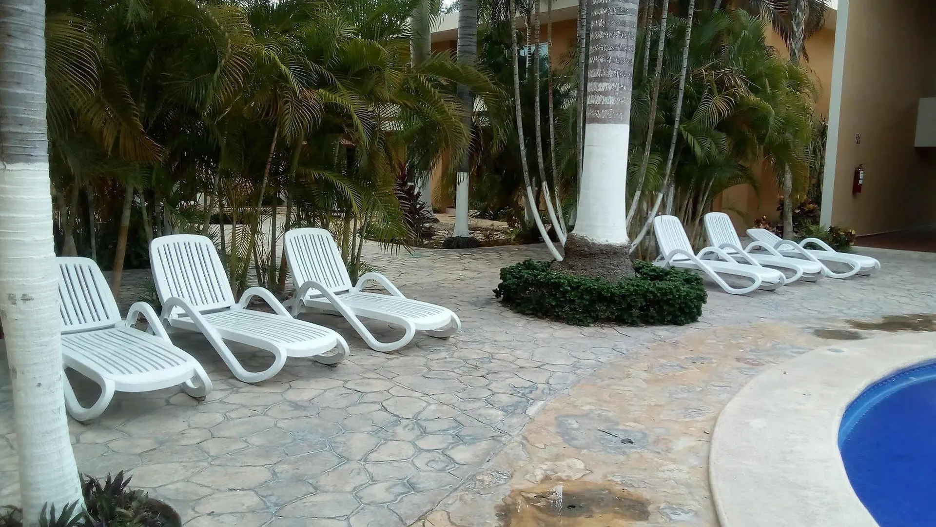 Tecnohotel Merida Norte 3*,